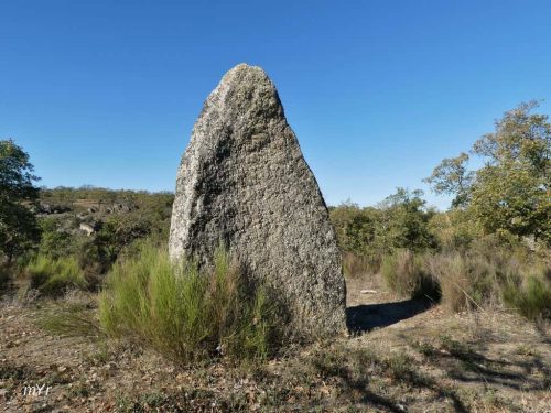 Menhir de Carvalhal Póvoa e Meadas Castelo de Vide Portalegre Alentejo