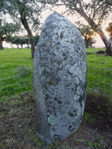 Menhir do Tojal  Santiago do Escoural  Montemor o Novo Évora Alentejo