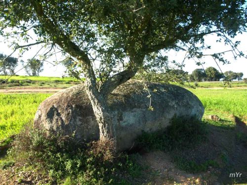 Menir da Casbarra 1 Nossa Senhora da Graça do Divor Évora Alentejo