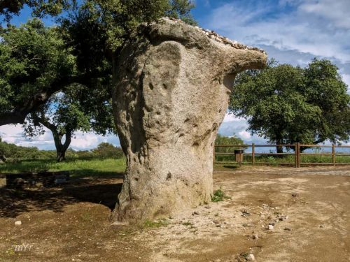 Rocha dos Namorados  São Pedro do Corval  Reguengos de Monsaraz Évora Alentejo