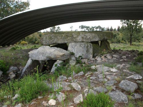 Orca dos Juncais F1 Queiriga  Vila Nova de Paiva Viseu Alentejo