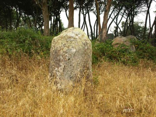 Conjunto Megalítico de Barreira F2 São João das Lampas Sintra Lisboa