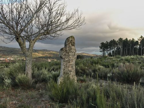 Estátua-Menir do Marco Barrela de Jales Vila Pouca de Aguiar Vila Real Norte